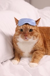 Photo of Cute ginger cat with sleep mask resting on bed