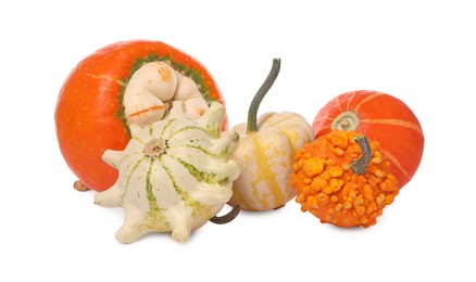 Photo of Different fresh ripe pumpkins isolated on white