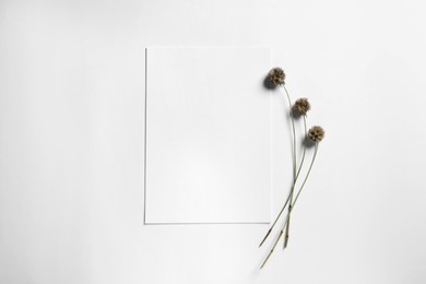Empty sheet of paper and dry decorative flowers on white background, flat lay. Mockup for design