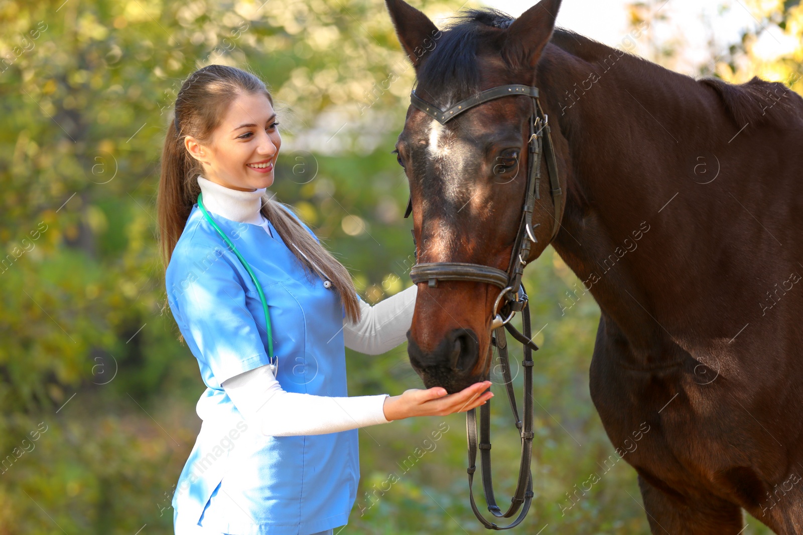 Photo of Veterinarian in uniform with beautiful brown horse outdoors