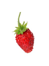 Photo of One ripe wild strawberry isolated on white