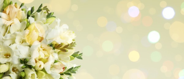 Image of Bouquet of beautiful freesia flowers on light background, space for text. Banner design