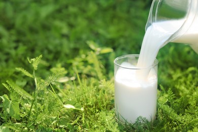 Photo of Pouring tasty fresh milk from jug into glass on green grass outdoors, closeup. Space for text