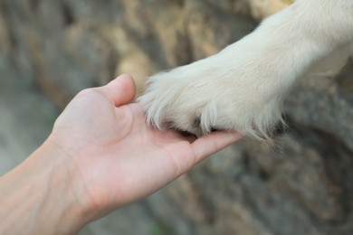 Photo of Dog giving paw to young woman outdoors, closeup