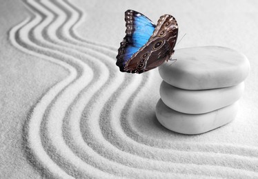 Image of Beautiful butterfly and stones on white sand with pattern. Zen concept