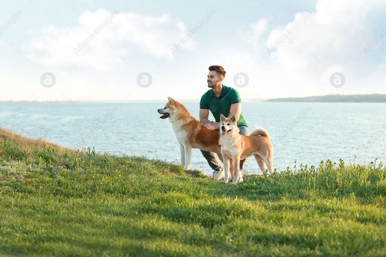 Photo of Young man walking his adorable Akita Inu dogs near river