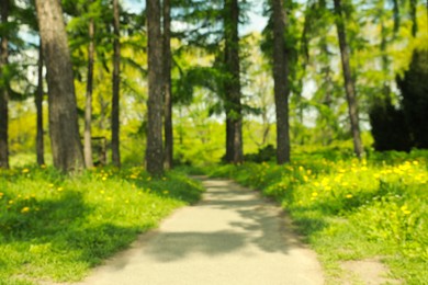 Photo of Blurred view of beautiful park on sunny day