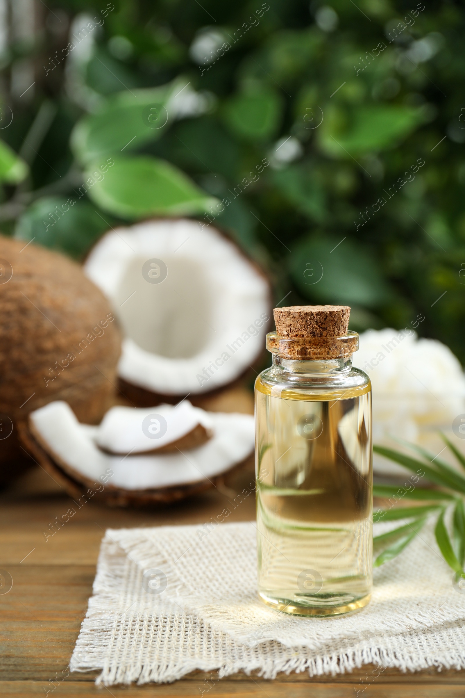 Photo of Bottle of organic coconut cooking oil on wooden table