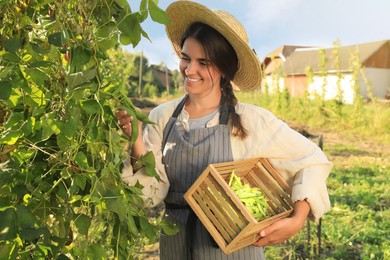 Photo of Young woman harvesting fresh green beans in garden