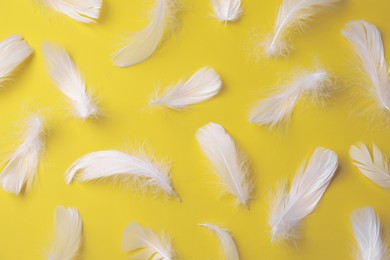 Photo of Many fluffy bird feathers on yellow background, flat lay