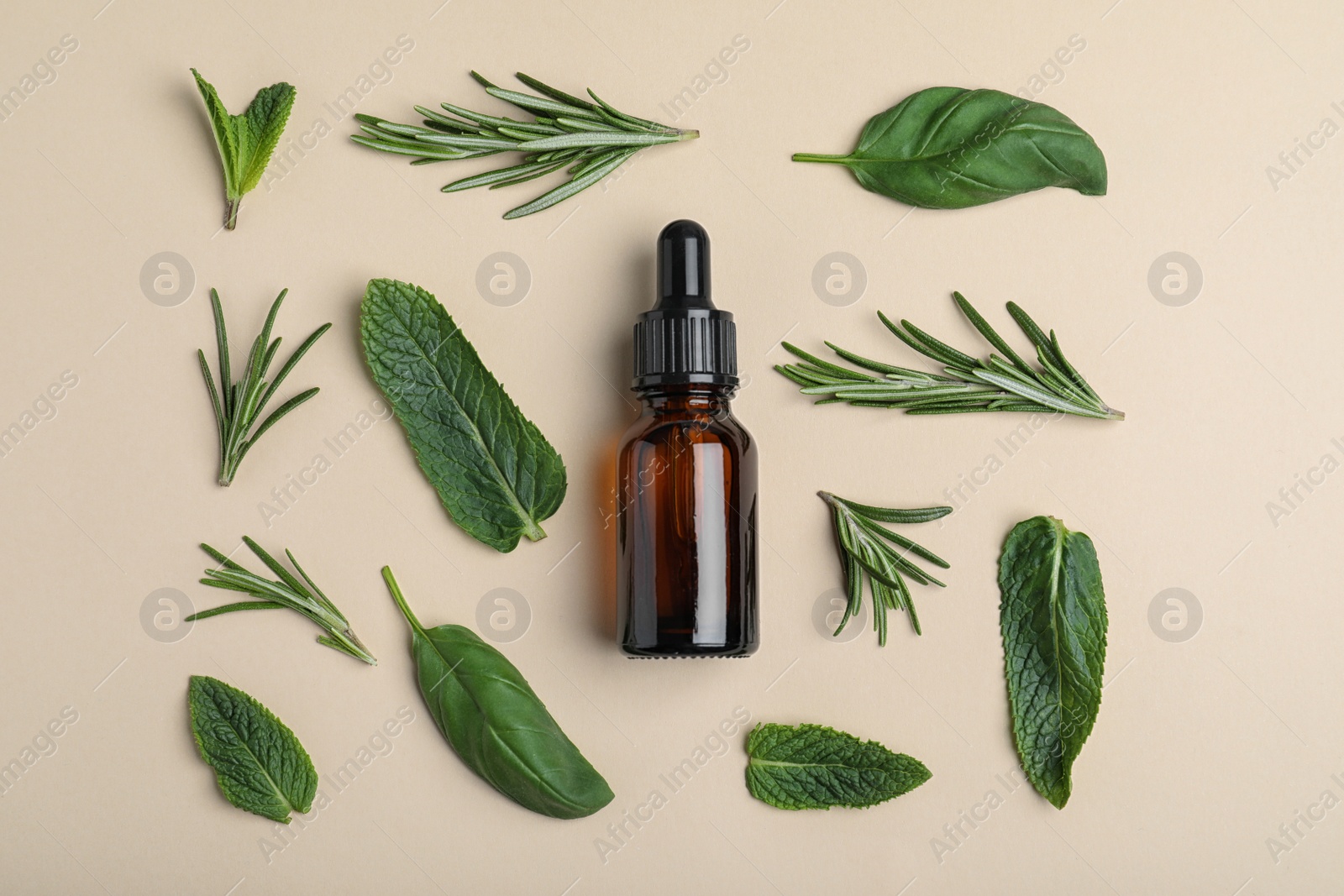 Photo of Little bottle of essential oil with different herbs on color background, flat lay