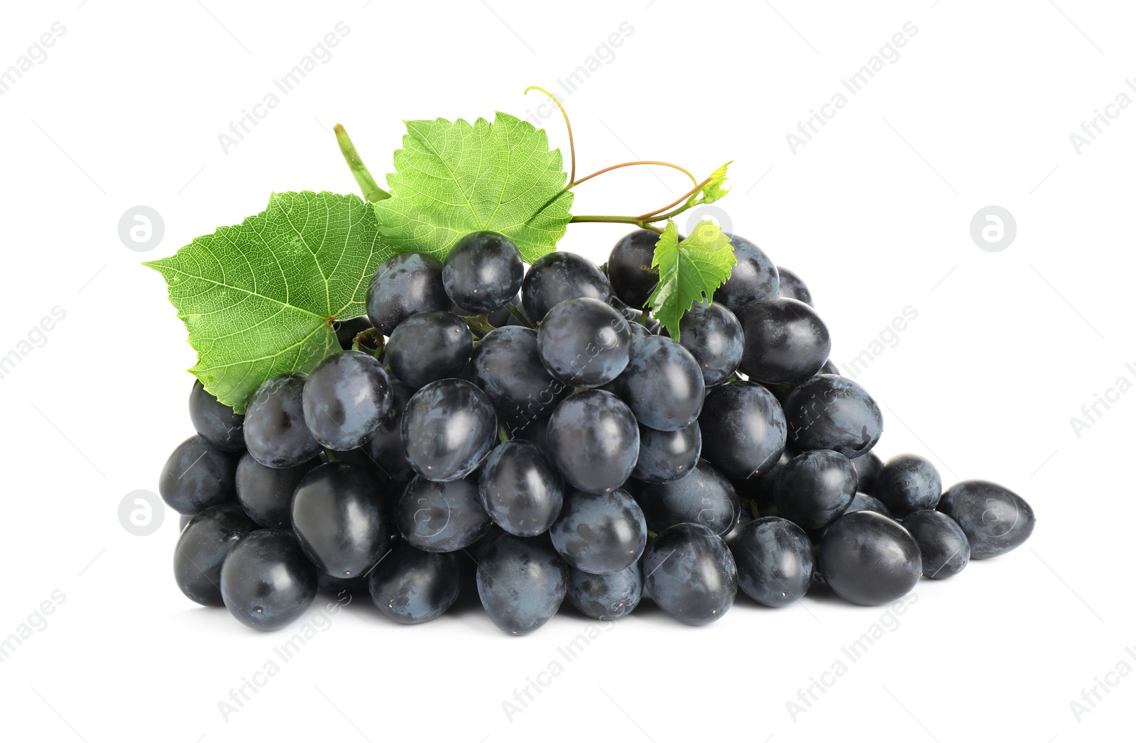 Photo of Bunch of fresh ripe juicy dark blue grapes with leaves isolated on white