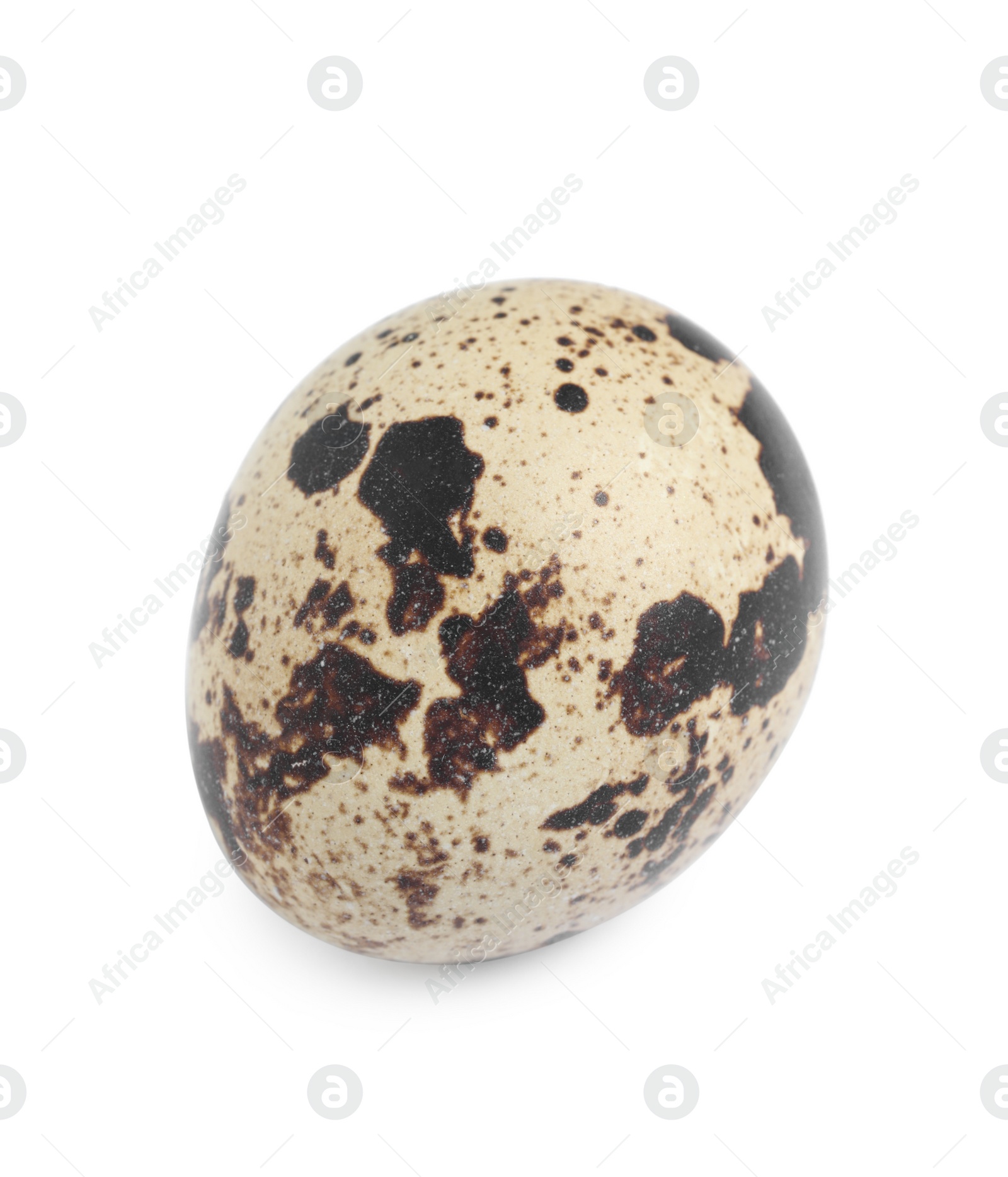 Photo of One beautiful quail egg isolated on white