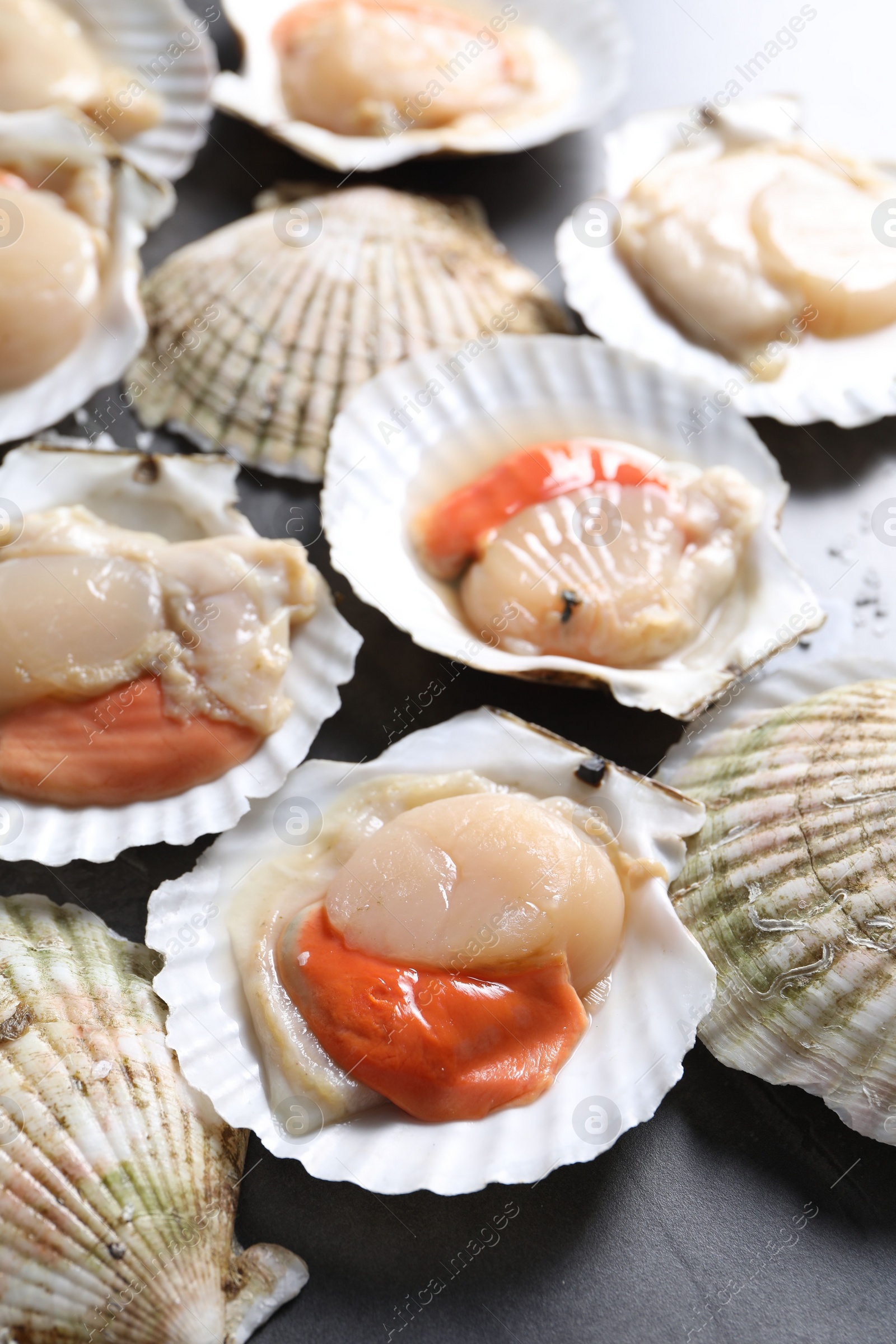 Photo of Fresh raw scallops on grey table, closeup