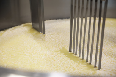 Curd and whey in tank at cheese factory, closeup