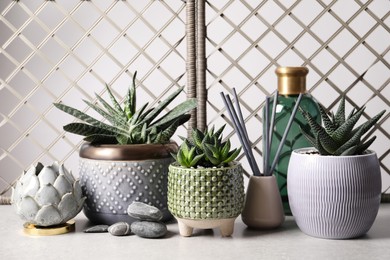 Beautiful Haworthia and Gasteria in pots with decor on grey table. Different house plants