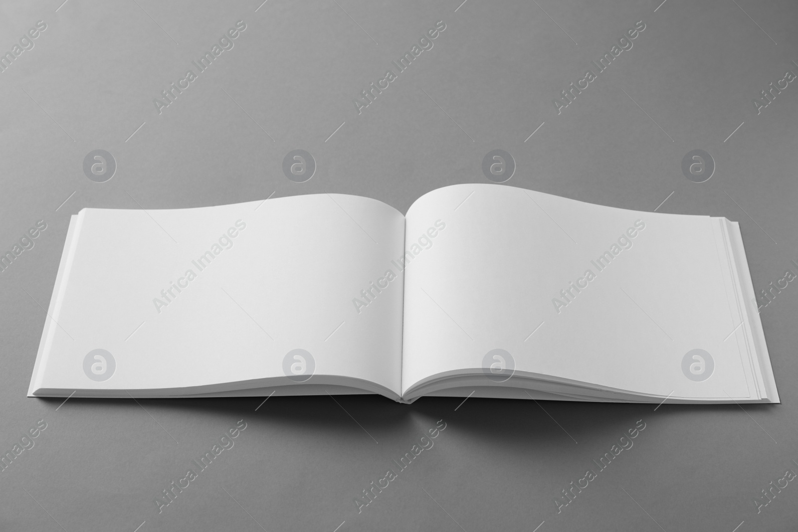 Photo of Open blank brochure on light grey background