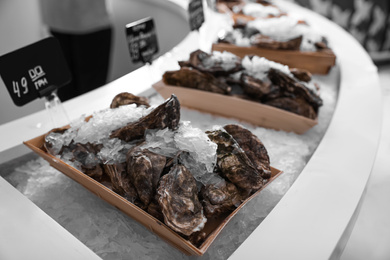 Photo of Fresh oysters with ice on display. Wholesale market