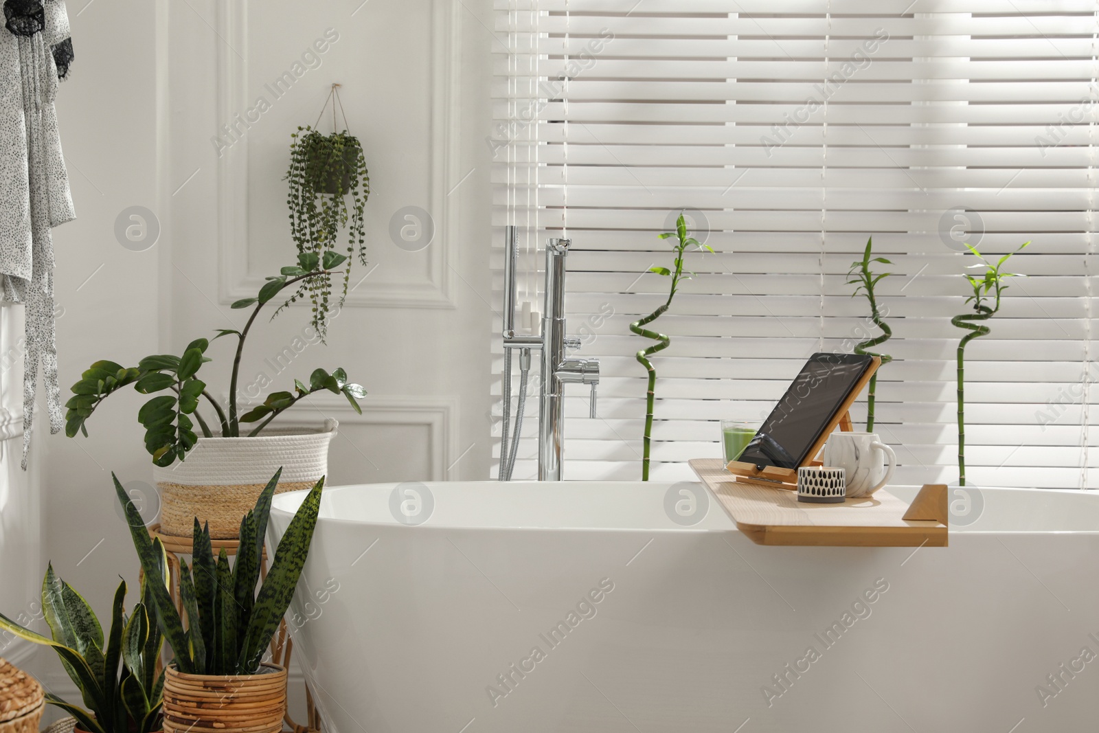 Photo of Stylish white tub and green houseplants in bathroom. Interior design