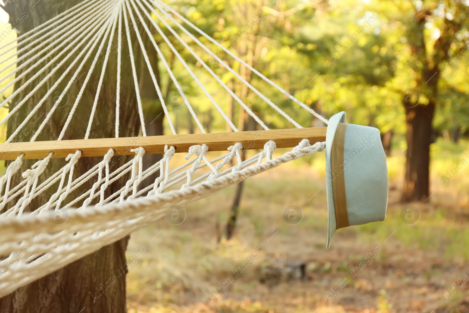 Photo of Comfortable net hammock and hat at green garden, closeup