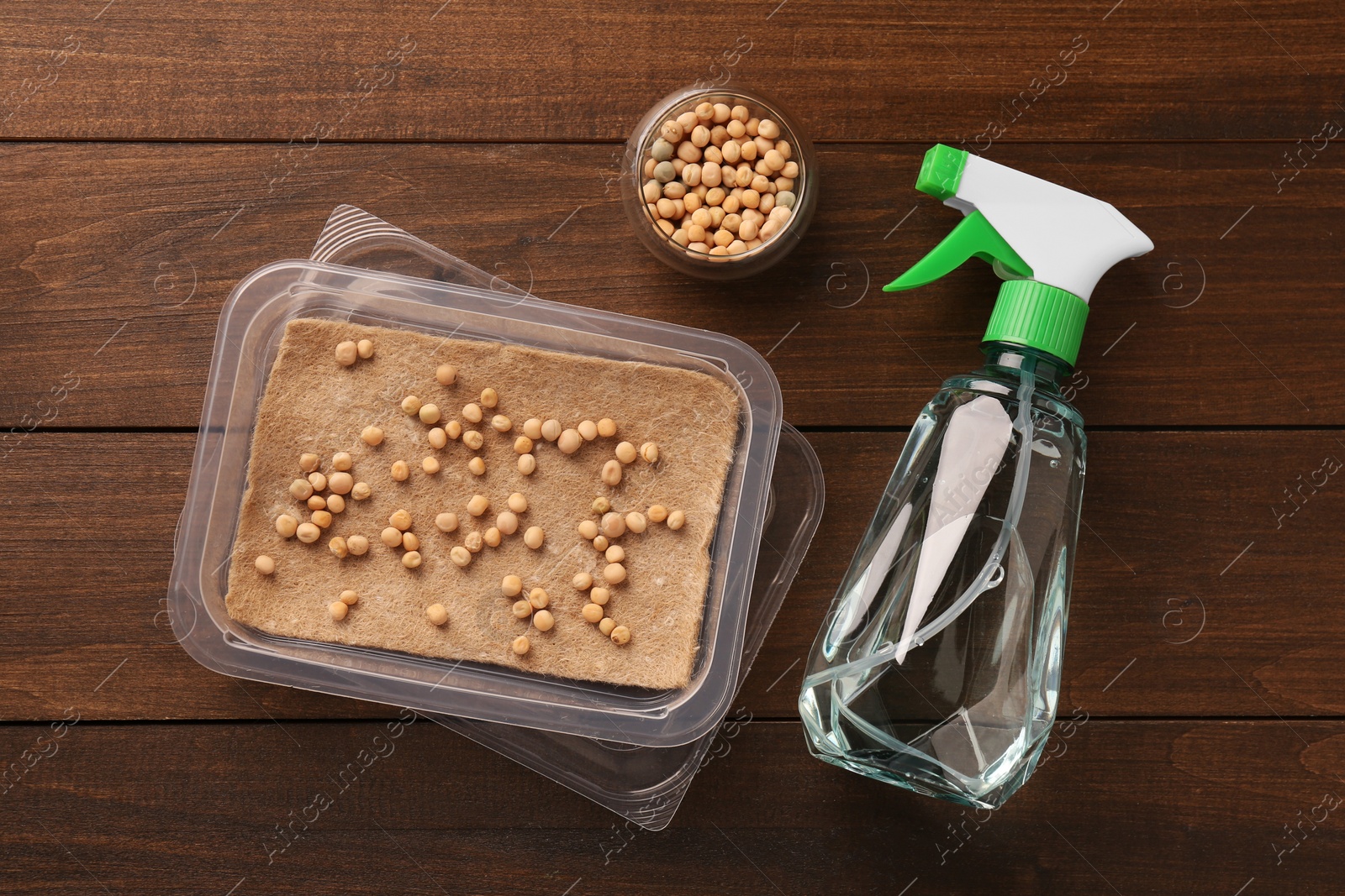 Photo of Microgreens growing kit. Dry peas, mat, container and spray bottle on wooden table, flat lay