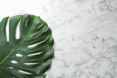 Green fresh monstera leaf on marble background, top view with space for text. Tropical plant