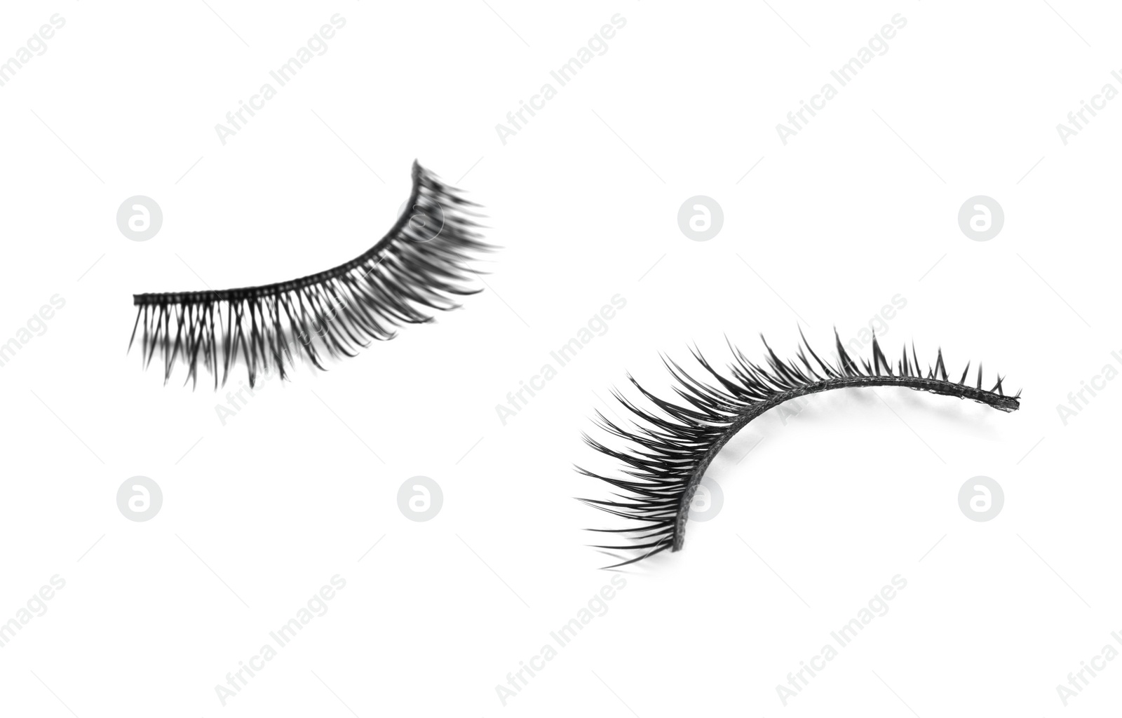 Photo of Beautiful pair of false eyelashes on white background