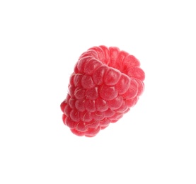 Delicious ripe sweet raspberry isolated on white