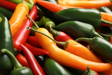 Different ripe chili peppers as background, closeup