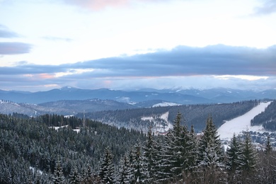 Photo of Beautiful mountain landscape with forest. Winter vacation