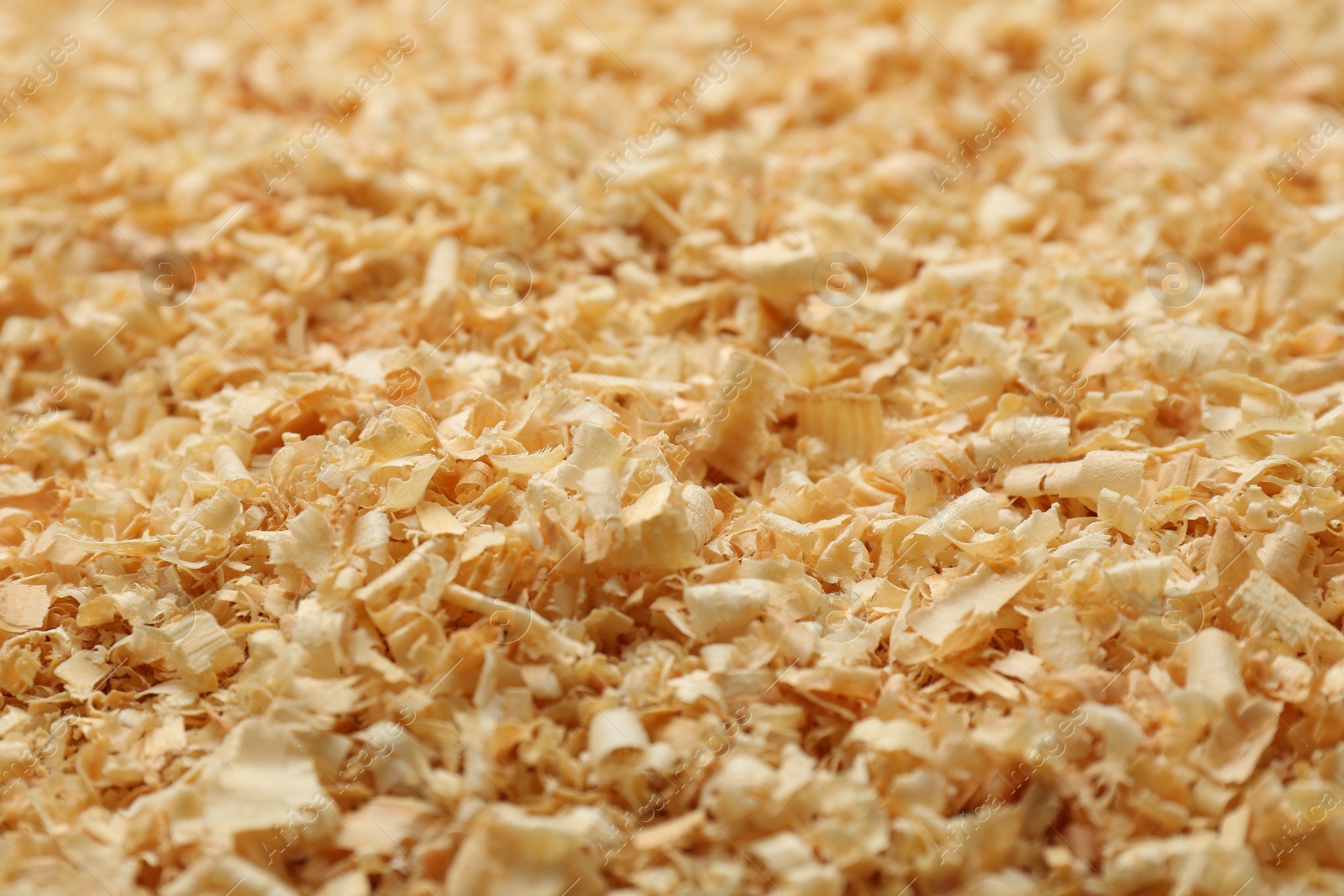 Photo of Dry natural sawdust as background, closeup view