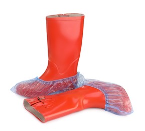 Photo of Rubber boots in blue shoe covers isolated on white