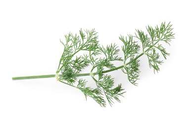 Photo of Sprig of fresh dill isolated on white, top view