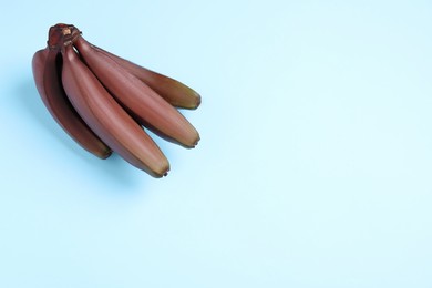 Photo of Tasty red baby bananas on light blue background, top view. Space for text
