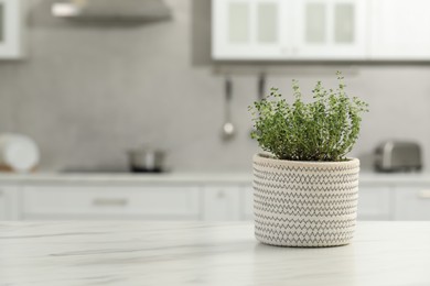 Photo of Beautiful potted microgreen on white table in kitchen, space for text