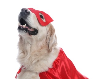 Photo of Adorable dog in red superhero cape and mask on white background
