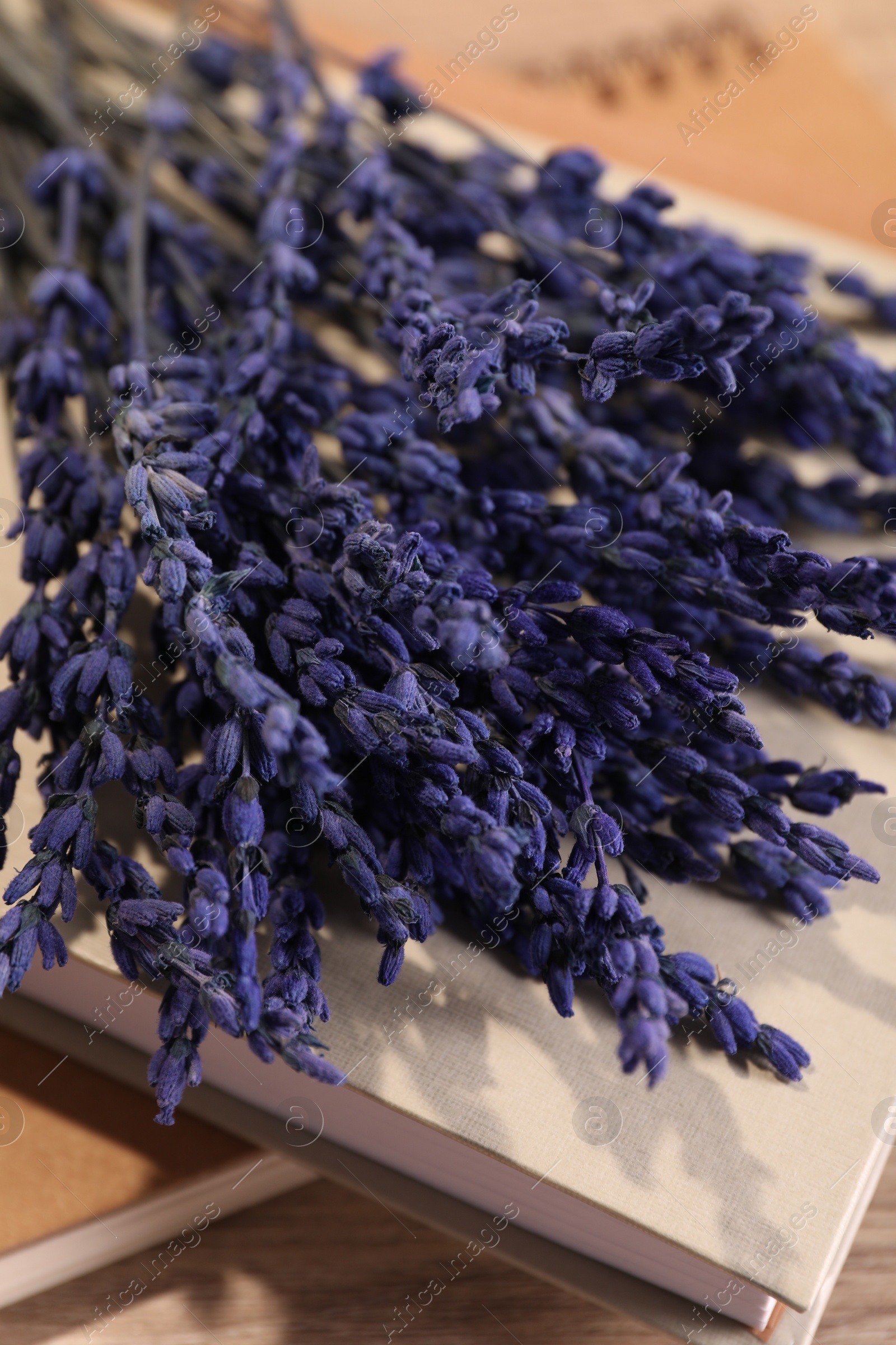 Photo of Bouquet of beautiful preserved lavender flowers and notebooks on table, closeup