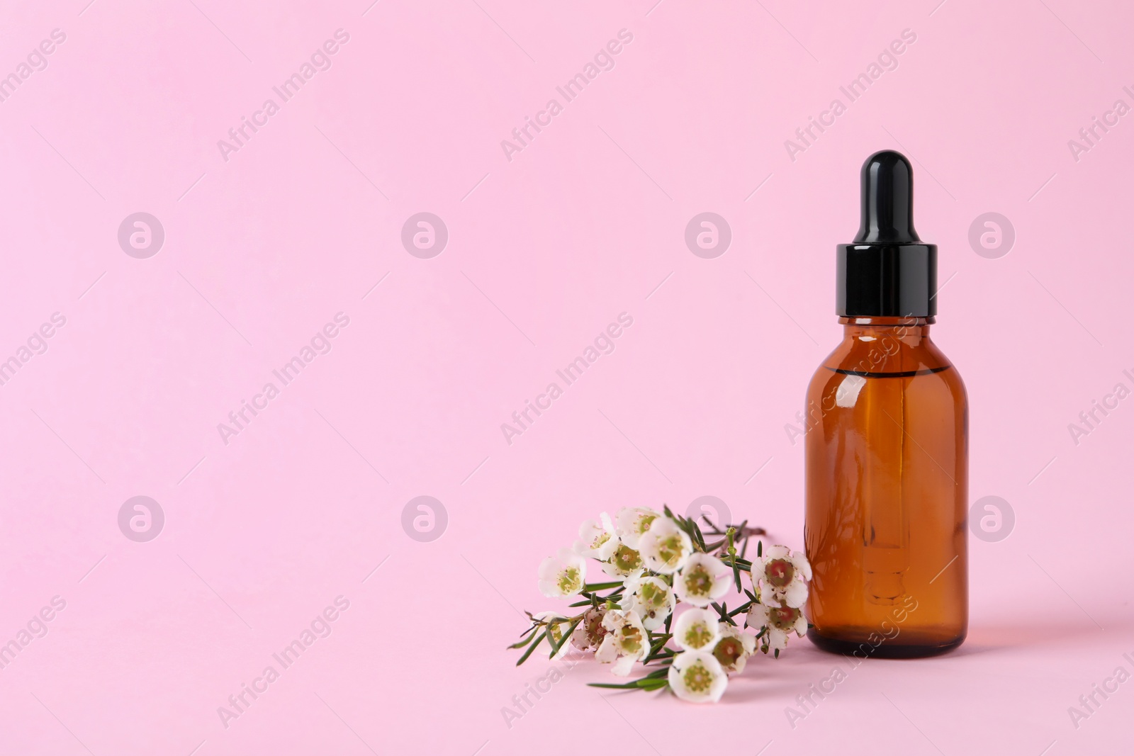 Photo of Bottle with cosmetic oil and flowers on pink background, space for text