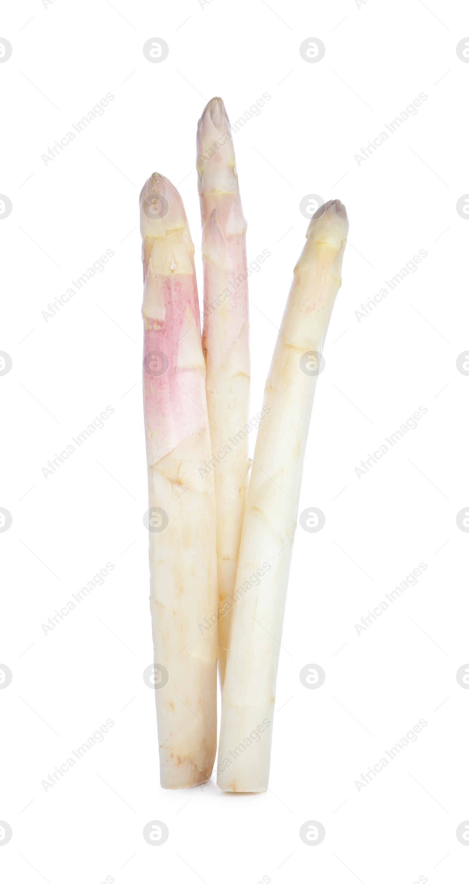 Photo of Fresh ripe raw asparagus isolated on white