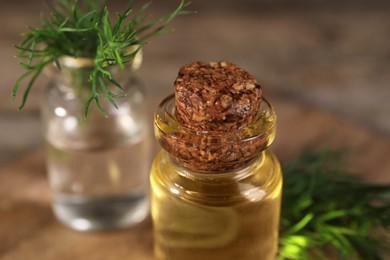 Photo of Bottles of essential oil and fresh dill on table, closeup