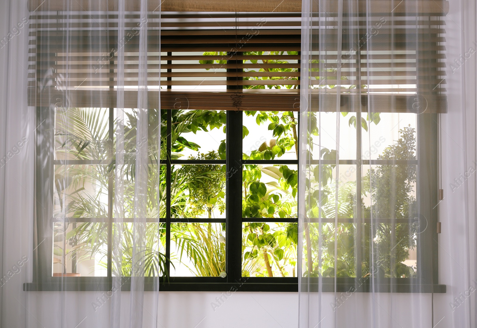 Photo of Beautiful view through window on garden in morning