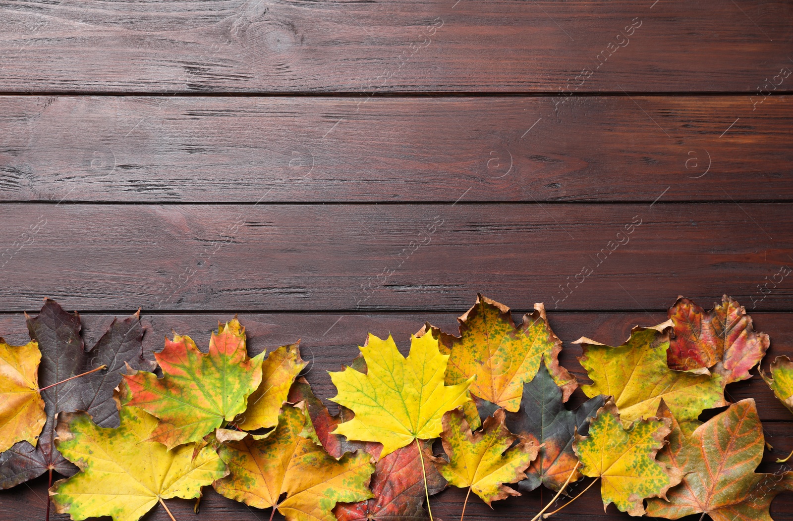 Photo of Dry autumn leaves of maple tree on brown wooden table, flat lay. Space for text