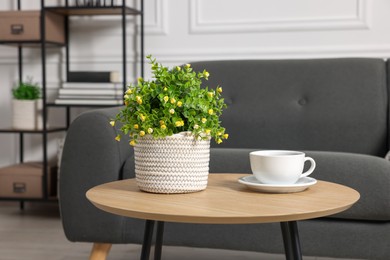 Potted artificial plant and cup of drink on coffee table near sofa indoors