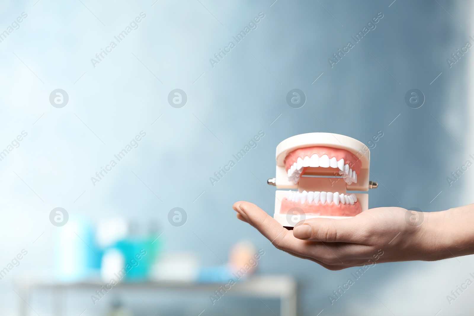 Photo of Dentist holding educational model of oral cavity with teeth in clinic, closeup. Space for text