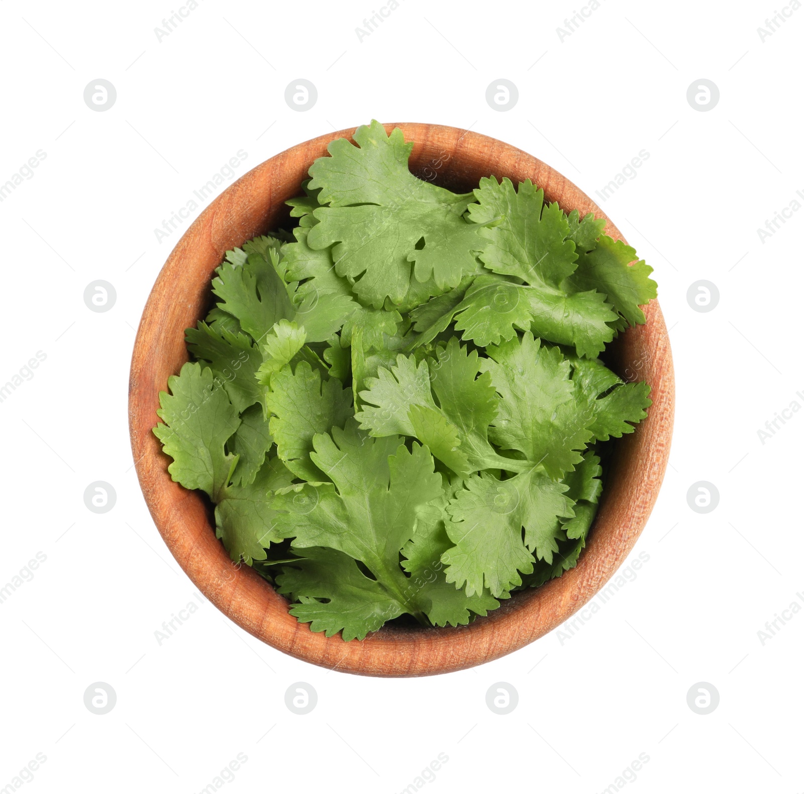 Photo of Bowl with fresh green coriander leaves isolated on white, top view