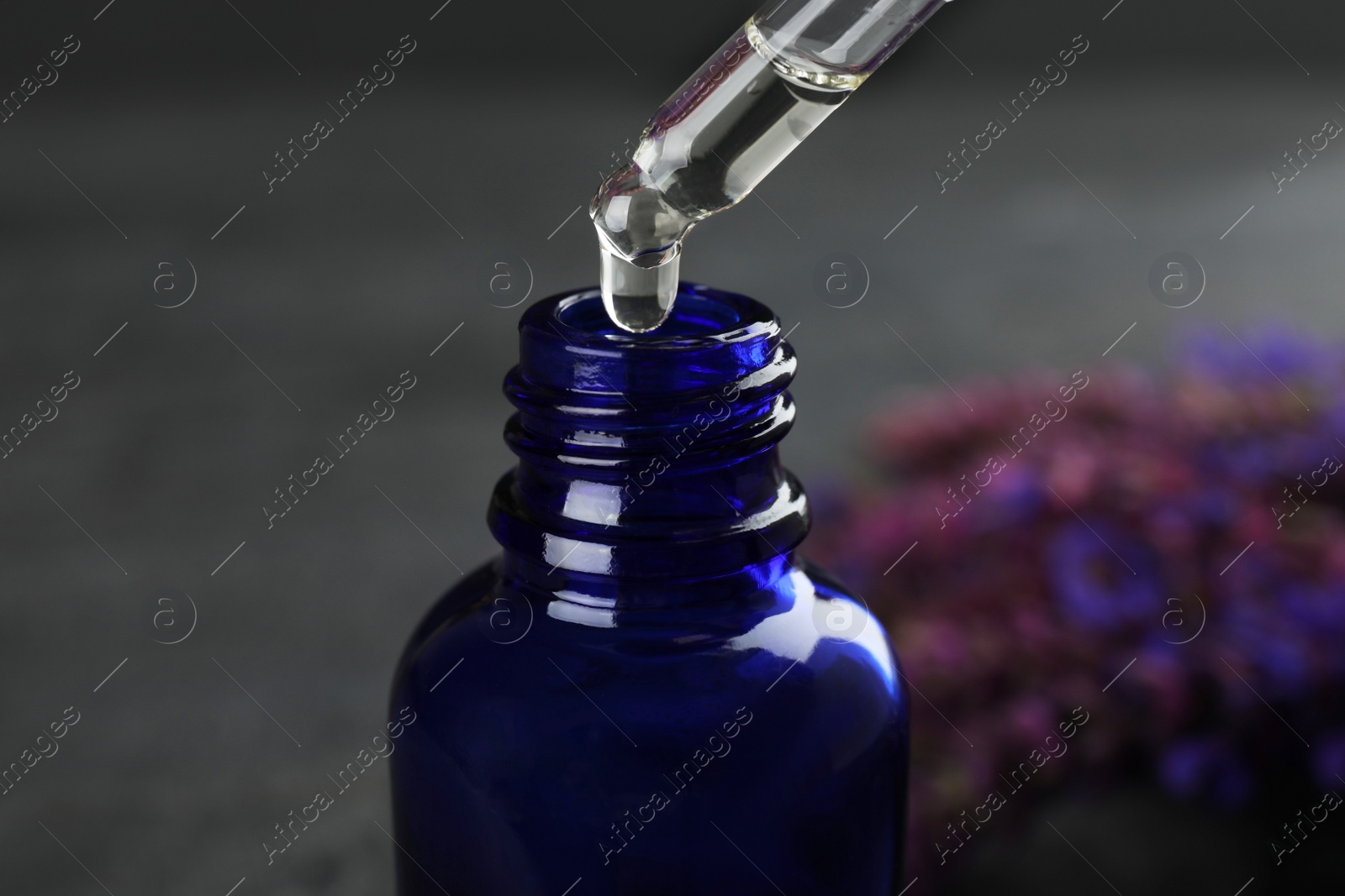 Photo of Dripping essential oil into bottle on dark background, closeup