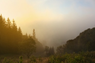 Picturesque view of mountains covered with fog at sunrise