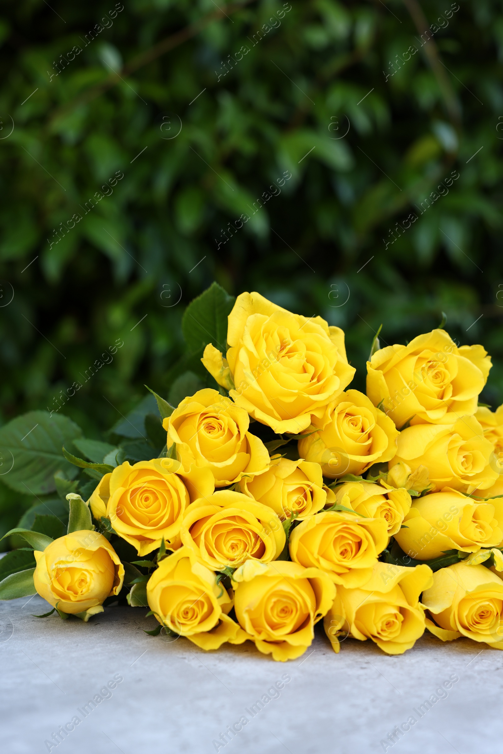 Photo of Beautiful bouquet of yellow roses on light table outdoors, space for text