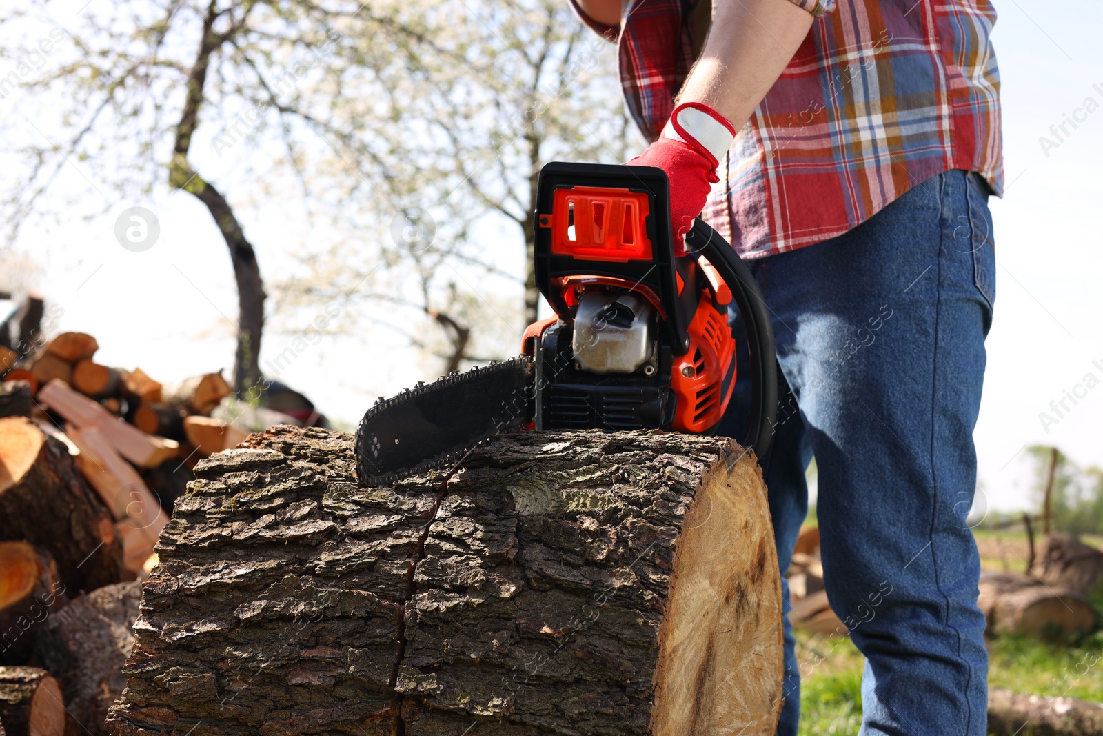 Photo of Man sawing wooden log on sunny day, closeup