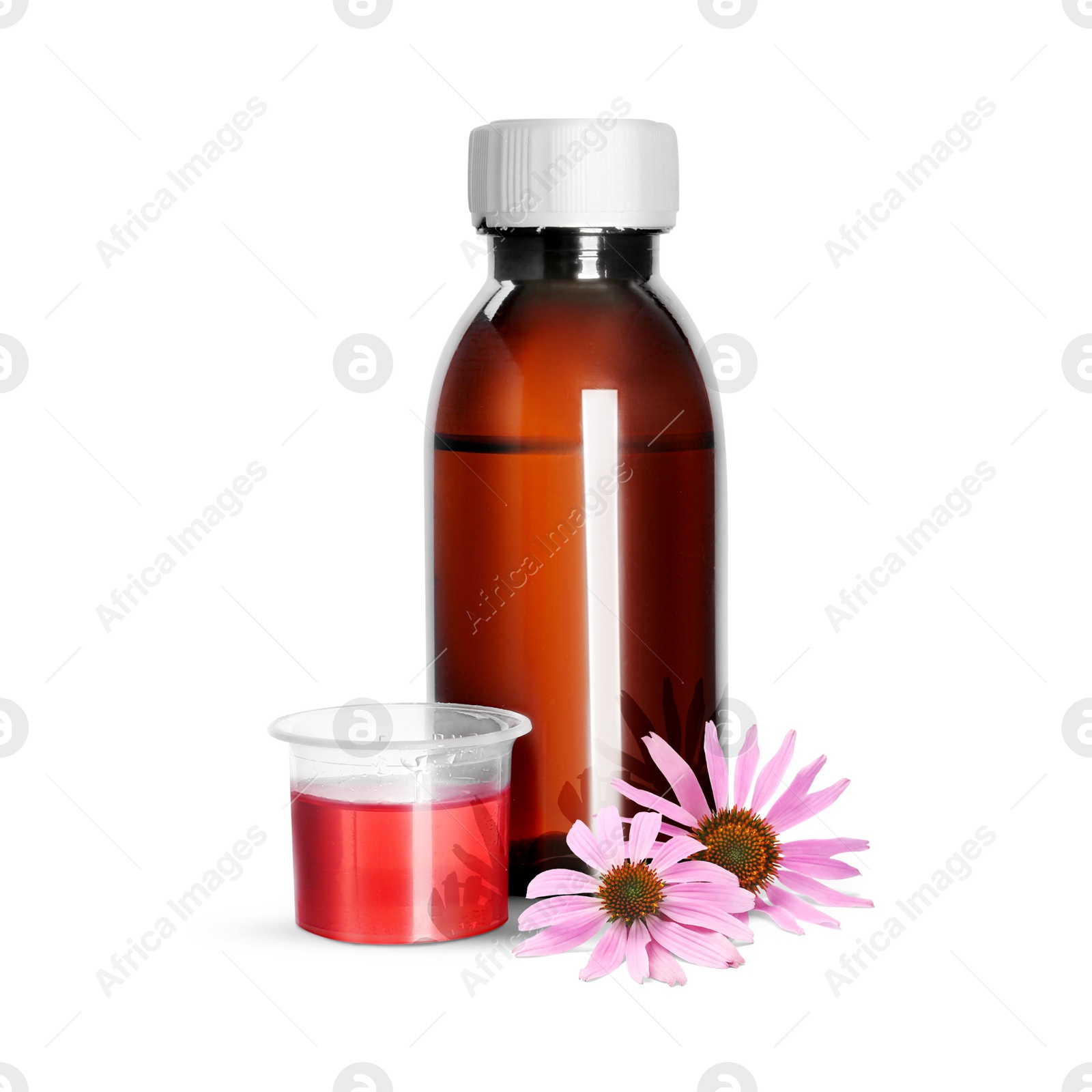 Image of Bottle of echinacea syrup and flowers on white background